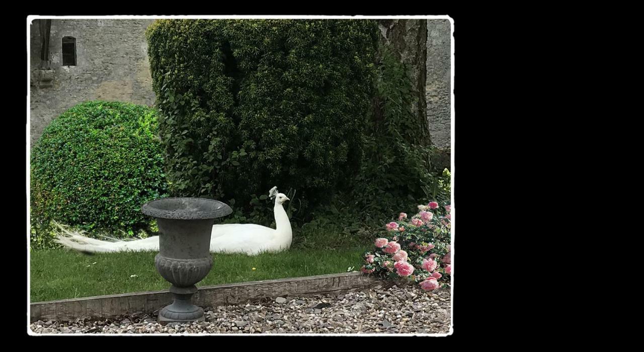 Bed and Breakfast Manoir De Livet Saint-Germain-de-Livet Екстер'єр фото